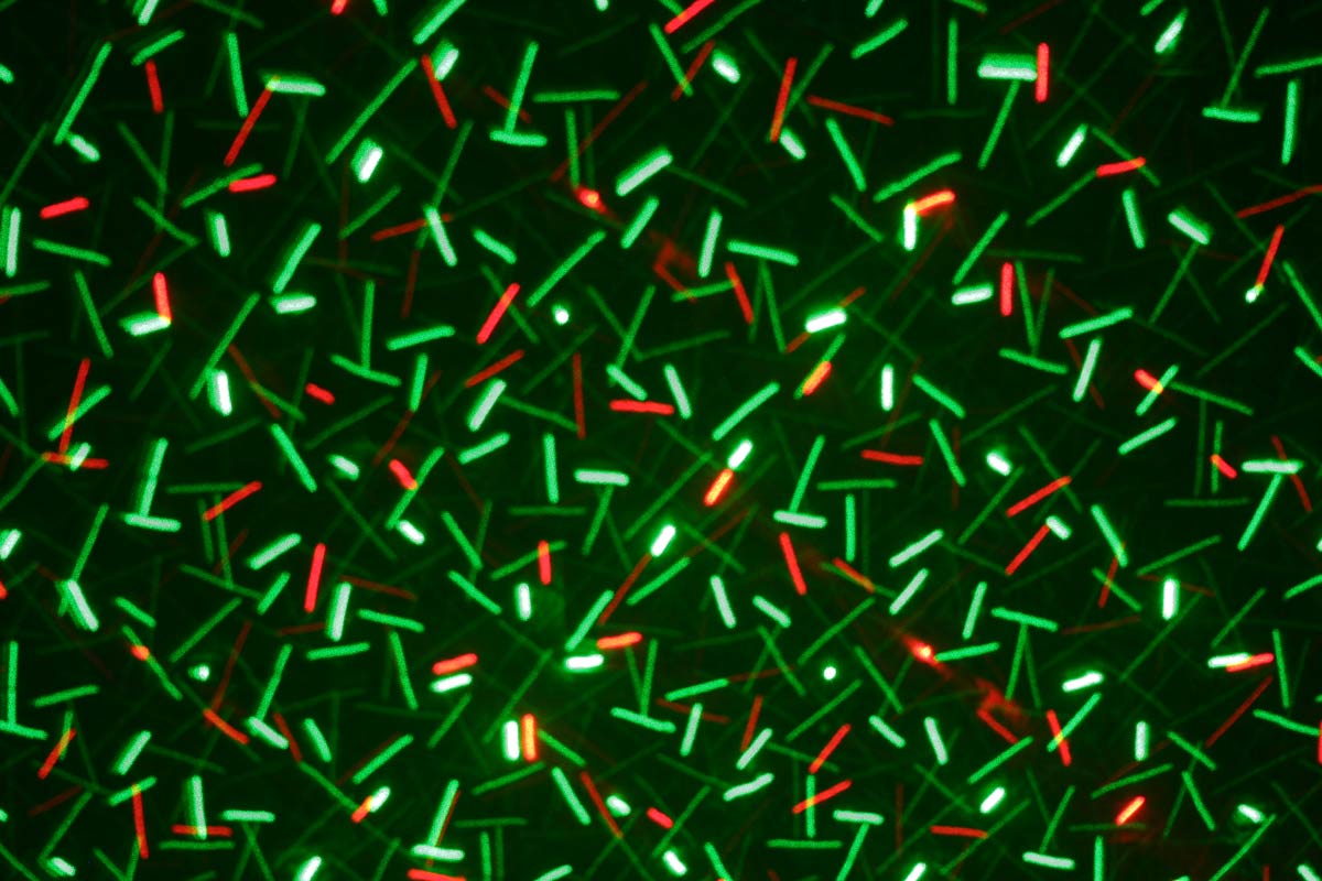 EL153513 E-Lektron M400RG mini Star Laser Lichteffekt