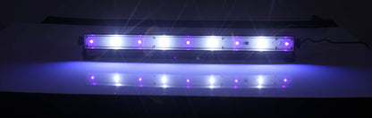 EL153501 E-Lektron LUS-1 LED UV- Strobe-Leiste Lichteffekt