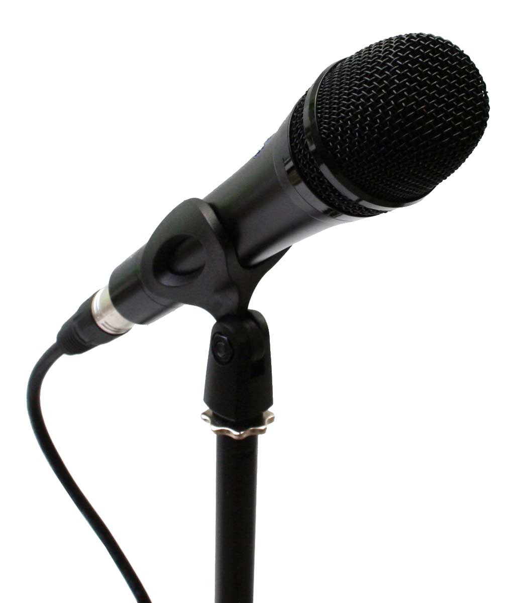 EL173522 E-Lektron SM12 Studio Kondensator-Mikrofon XLR