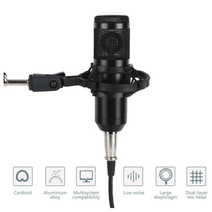 EL173531 E-Lektron KM800 Recording Kondensator-Mikrofon Set inkl. USB-Soundkarte